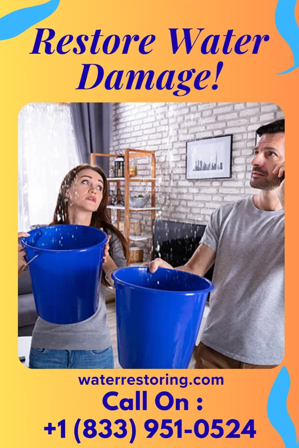 water restoration Stellar Water Solutions Co Wilkinson
