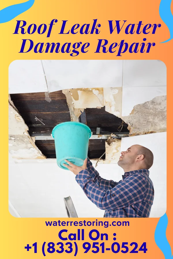 Roof Leak Water Damage Repair in Wilkinson, IN