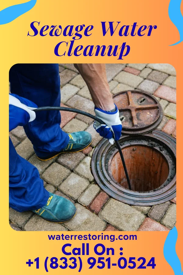 Sewage Water Cleanup in Wilkinson, IN