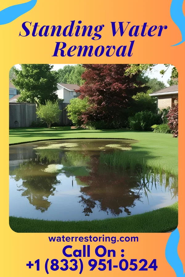 Standing Water Removal in Wilkinson, IN